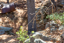 Stonewall-Mine,-Cuyamaca-State-Park-032.jpg