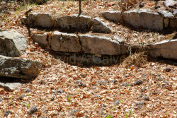 Stonewall-Mine,-Cuyamaca-State-Park-033.jpg