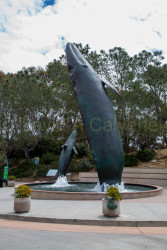 Birch-Aquarium-044.jpg