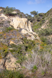 Torrey-Pines-National-Reserve-056.jpg