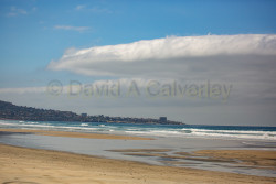 Torrey-Pines-State-Beach-019.jpg