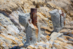 Torrey-Pines-State-Beach-023.jpg