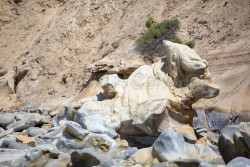 Torrey-Pines-State-Beach-028.jpg