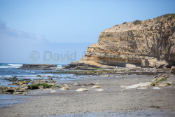 Torrey-Pines-State-Beach-029.jpg
