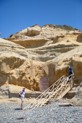 Torrey-Pines-State-Beach-031.jpg
