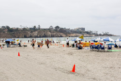 La-Jolla-3006.jpg