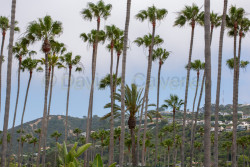 La-Jolla-3012.jpg