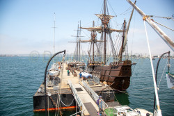 Tall-Ships-026.jpg