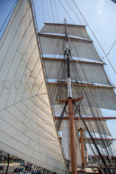 Tall-Ships-292.jpg