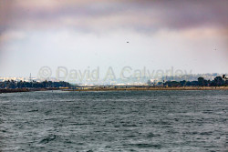 Whale-Watching-023.jpg