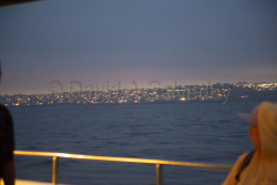 Whale-Watching-097.jpg