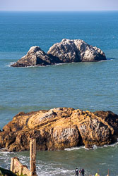 San_Francisco-046.jpg