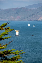 San_Francisco-076.jpg
