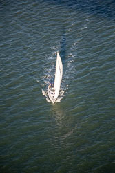 San_Francisco-142.jpg