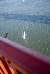 San_Francisco-143.jpg