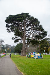 San_Francisco-242.jpg