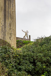 San_Francisco-381.jpg