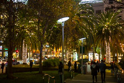 San_Francisco-487.jpg
