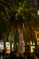 San_Francisco-488.jpg