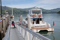 Akora_Dolphin_Trip-003.jpg