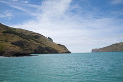 Akora_Dolphin_Trip-016.jpg