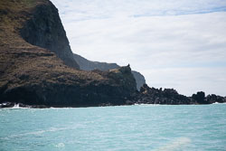 Akora_Dolphin_Trip-041.jpg