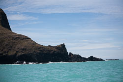 Akora_Dolphin_Trip-080.jpg