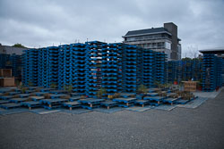 Arena_Christchurch-009.jpg