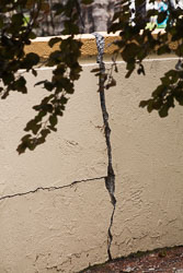 Christchurch_-129.jpg