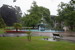 Christchurch_Botanic_Gardens-009.jpg