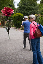 Christchurch_Botanic_Gardens-057.jpg