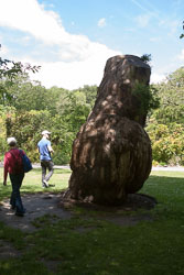 Christchurch_Botanic_Gardens-105.jpg