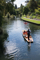 Christchurch_Botanic_Gardens-145.jpg