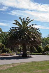 Christchurch_Botanic_Gardens-161.jpg