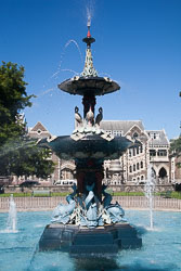 Christchurch_Botanic_Gardens-243.jpg