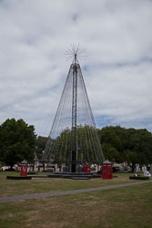 Christchurch_Christmas_Tree-001.jpg