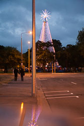Christchurch_Christmas_Tree-003.jpg