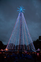 Christchurch_Christmas_Tree-011.jpg