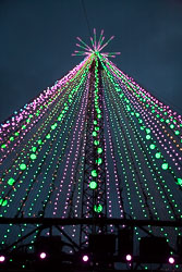 Christchurch_Christmas_Tree-021.jpg