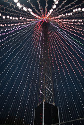 Christchurch_Christmas_Tree-031.jpg