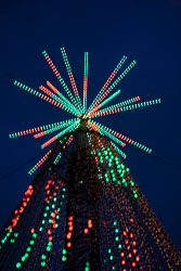 Christchurch_Christmas_Tree-063.jpg