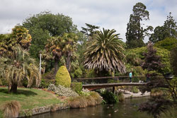 Hagley_Park,_Christchurch_-017.jpg