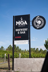 Moa_Brewery_-001.jpg