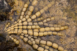 Kaikoura_028.jpg