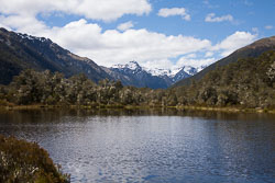 Lewis_Pass,_Nature_Walk_001.jpg