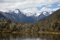 Lewis_Pass,_Nature_Walk_003.jpg
