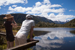 Lewis_Pass,_Nature_Walk_005.jpg
