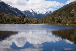 Lewis_Pass,_Nature_Walk_006.jpg