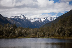 Lewis_Pass,_Nature_Walk_014.jpg