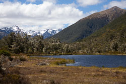 Lewis_Pass,_Nature_Walk_019.jpg